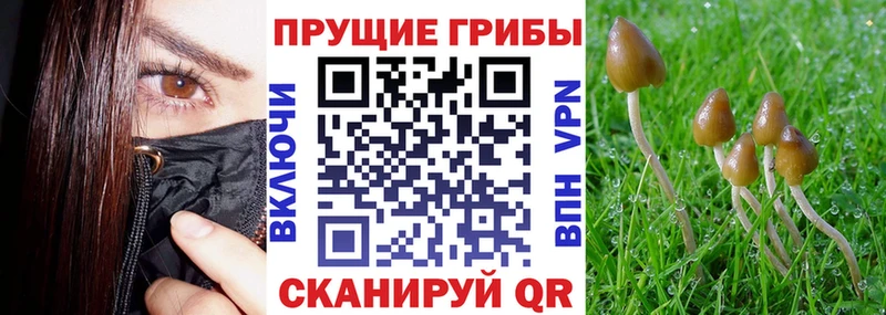 Галлюциногенные грибы MAGIC MUSHROOMS  что такое наркотик  Чусовой 